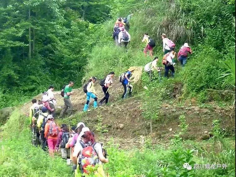 3.30(周六)彭州龙门山徒步挖野菜活动8.jpg