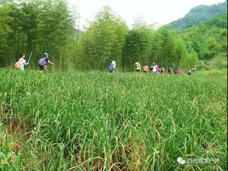 3.30(周六)彭州龙门山徒步挖野菜活动15.jpg